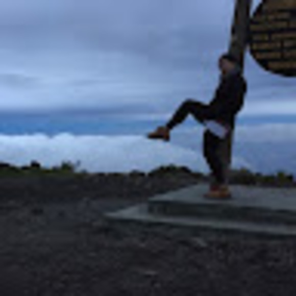 Meet your Posher, Sasha - Picture 1 of 1